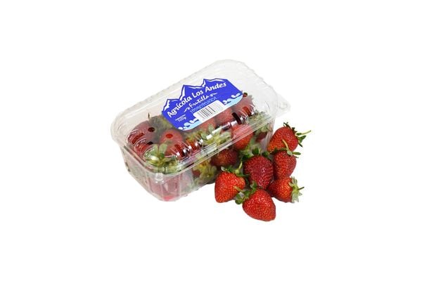 Frutilla Hidropónica 500 g